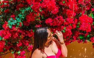Guía práctica para potenciar la floración de la Santa Rita