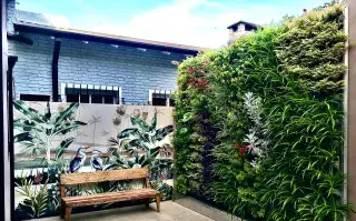 Desde paredes exteriores hasta espacios interiores, los jardines verticales embellecen cualquier aspecto gris y descolorido