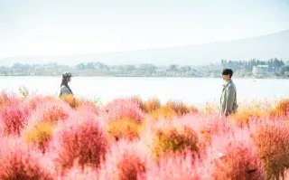 ¡Doona! está disponible en Netflix