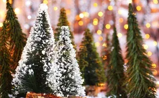 árboles de Navidad