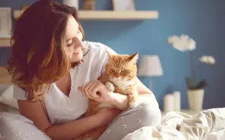 Día Internacional del Gato: 5 claves para cuidar a estas mascotas Día Mundial del Gato: cómo cuidarlos bien