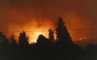 Un bosque prendiéndose fuego.