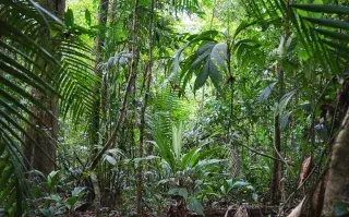 Reserva ecológica