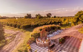 bodega Carmelo