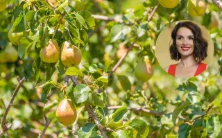 Natalia Oreiro es conocida por su amor por la naturaleza y su compromiso con el medio ambiente