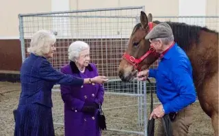 Expo Nuestros Caballos: llega a Argentina el encantador de caballos que conquistó a la Reina Isabel II
