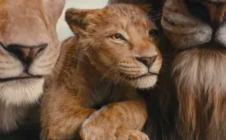 Foto de Mufasa: El Rey León