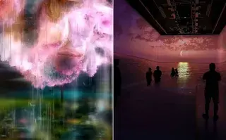 Muestras de arte