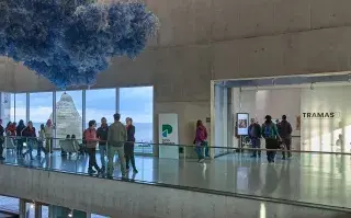 Museo Mar, en Mar del Plata, siempre con propuestas culturales para ver el finde en familia.