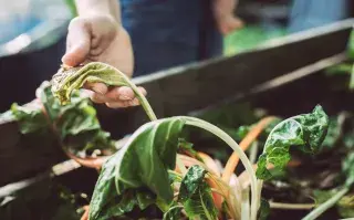 La sequía es una preocupación en el Día Mundial del Medioambiente