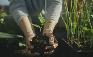 30 semillas que podés plantar ahora para tener flores y frutos en septiembre