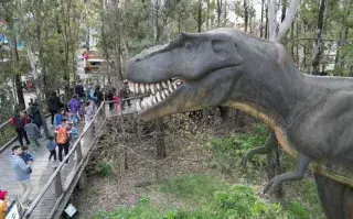 Tierra de Dinos: un paseo para descubrir dinosaurios autóctonos.