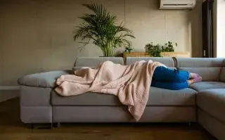 Si con temperaturas bajo cero no te dan ganas de salir de abajo de una frazada... ¿pensaste en tus plantas? ellas también necesitan abrigo durante el invierno.