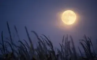 Luna llena de septiembre: ¿por qué se la llama “Luna de Cosecha"?