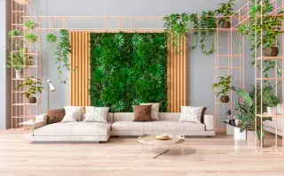 Foto de plantas.