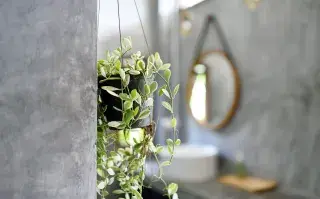 Foto de baño.
