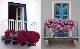 Con la primavera en pleno esplendor, es hora de preparar el jardín para que brille en verano