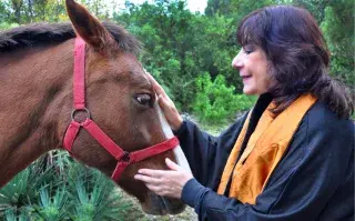 Horóscopo chino 2026: predicciones de para cada signo según Ludovica Squirru