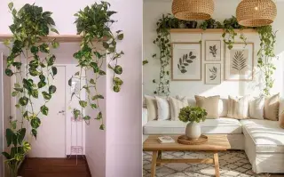 Potus en cascada: cómo lograr ese efecto verde que transforma cualquier rincón de tu casa