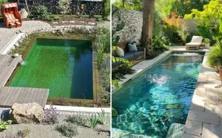 Cómo integrar una biopileta con tu jardín: ideas de paisajismo eco-chic