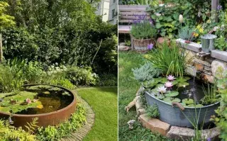 Miniestanques en macetas: cómo lograr un oasis en jardines pequeños