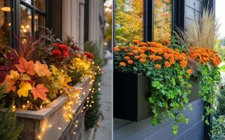 Adiós al balcón sin flores en otoño: plantas que siguen dando color cuando baja la temperatura