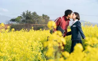 K-Dramas y vínculos conscientes: qué aprendimos sobre el amor viendo ficciones coreanas.