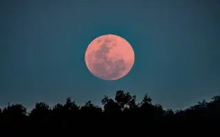 Luna llena rosa