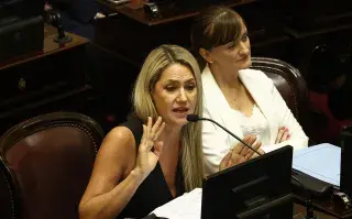 ¿Vemos el género o no? La trampa del proyecto de falsas denuncias y la violencia de género en Argentina La senadora Carolina Losada impulsa un proyecto de ley en el Senado que busca agravar las penas por denuncias falsas en casos de violencia de género y abuso sexual