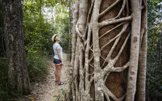 22 de abril, Día de la Tierra: 4 terapias alternativas para reconectar con la Tierra
