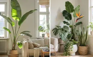 Incorporar plantas de gran porte en el living no solo suma verde: redefine el espacio.