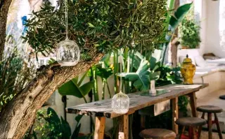 Tendencias deco en patios de otoño 2026: del diseño biofílico al estilo refugio Foto de patio.
