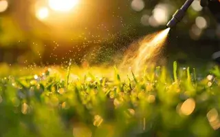 Qué es el césped líquido, la nueva tendencia que transforma los jardines Qué-es-el-césped-líquido,-la-nueva-tendencia-que-transforma-los-jardines.jpg