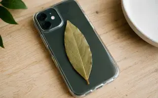 Llevar una hoja de laurel dentro de la funda del celular: ¿por qué lo recomiendan? laurel en la funda del celular