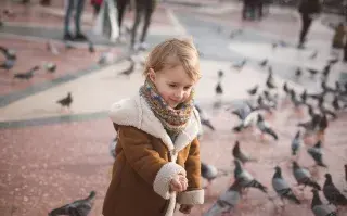 Qué hacer con los chicos en las vacaciones de invierno: planes gratis y de bajo costo nene juega con palomas