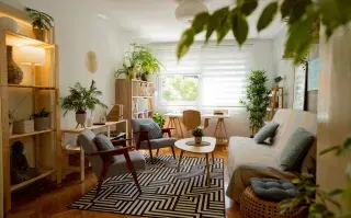 5 plantas que siguen creciendo aunque en invierno haya poca luz Con la llegada del invierno, los días se acortan y la luz natural disminuye notablemente.