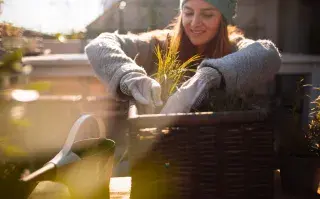 Si tienes plantas, no cometas estos errores este invierno Foto de plantas.