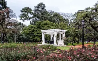 Empezó la poda en el Rosedal de Palermo: hasta cuándo podés llevarte tus gajos de rosas gratis Como sucede cada invierno, el Rosedal de Palermo abre sus puertas a una de las iniciativas más esperadas por los amantes de las plantas y la jardinería: la entrega gratuita de esquejes de rosas.