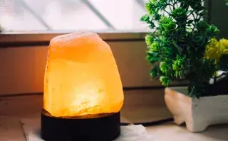 Una lámpara de sal al lado de una planta
