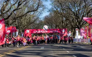 caminata avon por el cancer de mama