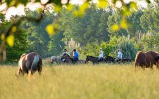 Turismo de fin de semana: pueblos a menos de 100 km de CABA que vale la pena conocer escapadas cerca de CABA