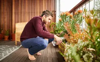 un hombre cuida plantas en el balcón