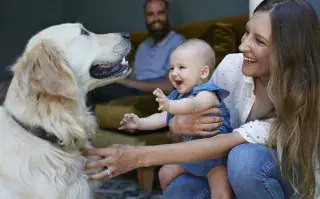 la llegada de un bebe a la casa
