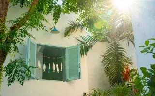 Una casa con ventana y luz natural entre el verde de las plantas.