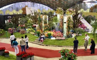 fiesta de la flor en escobar