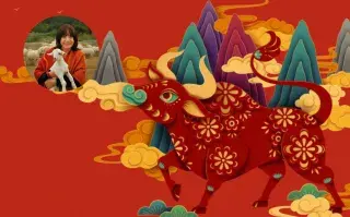 bufalo horoscopo chino ludovica