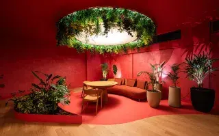 Colour Drenching: la nueva tendencia simple y elegante que es ideal para decorar paredes
