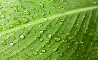 El agua es el elemento fundamental en el desarrollo de nuestro planeta. Usarla con responsabilidad es nuestro compromiso.