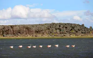 Parque Nacional Patagonia: el área protegida santacruceña que pocos conocen Es una de las áreas protegidas más nuevas de la Argentina, con volcanes, cañadones, especies en peligro de extinción y petroglifos de 3000 años