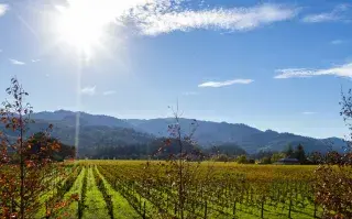 Napa en California